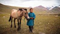 Mongolia-medium(8)